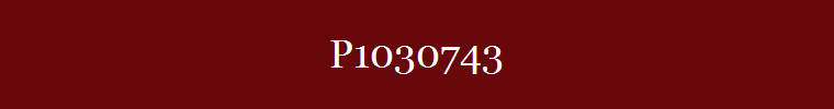 P1030743