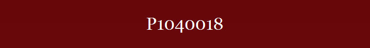 P1040018
