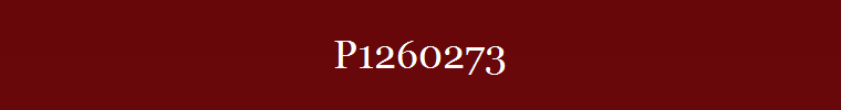 P1260273