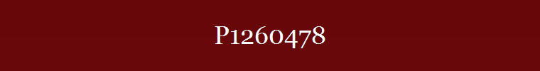 P1260478