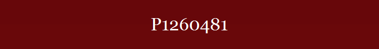P1260481