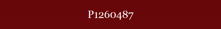 P1260487