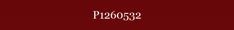 P1260532