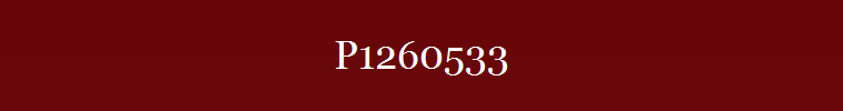 P1260533