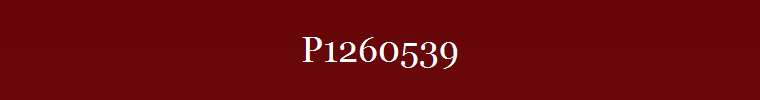 P1260539
