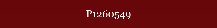 P1260549