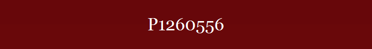 P1260556