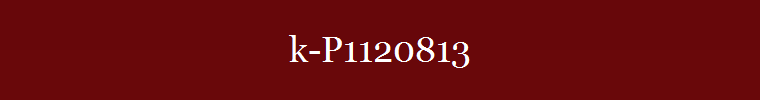 k-P1120813