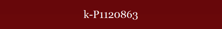 k-P1120863